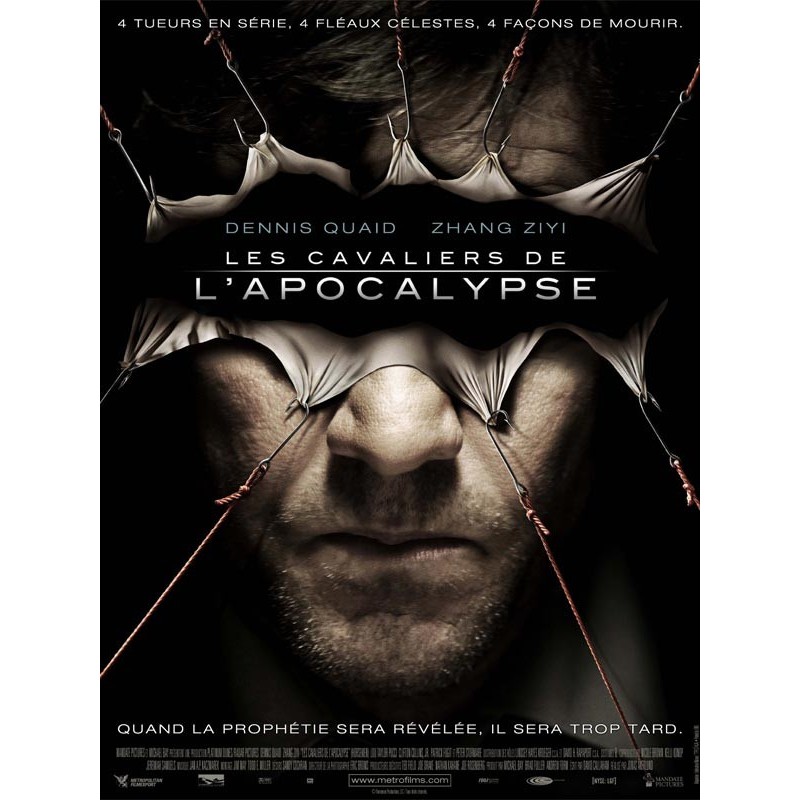 Film Les Chats Persans Film Les chats persans - Affiche neuve & originale - Format 40x60cm